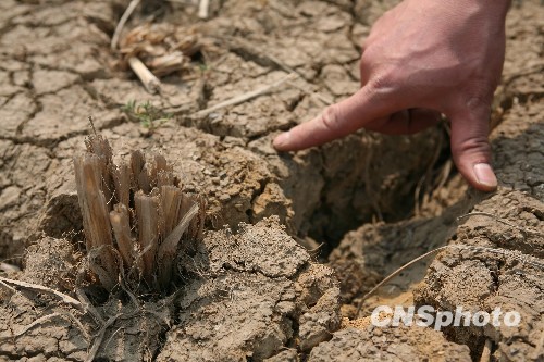 西南五省份6000余万人遭受旱灾损失236亿元